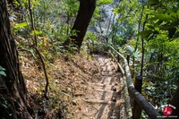 Routes pour se rendre au grand Bouddha du temple Nanzo-in à Fukuoka