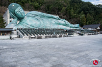 Le grand Bouddha du temple Nanzo-in à Fukuoka