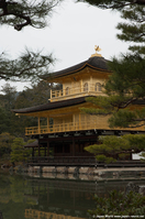 Kinkaku-ji