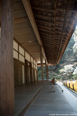 Temple Nanzen-in Temple Nanzen-in