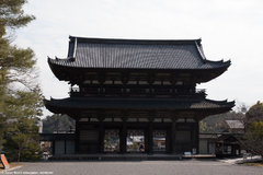 Ninna-ji Ninna-ji