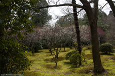 Ryoan-ji Ryoan-ji
