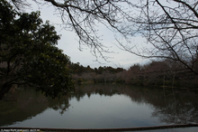 Ryoan-ji