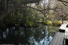Jardin du Tenju-an