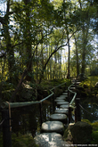 Jardin du Tenju-an